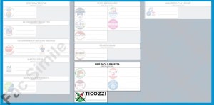 FAc simile scheda elettorale elezioni amministrative comunali Venezia 2020, per votare Paolo Ticozzi in consiglio comunale metti una X sul simbolo del PD (partito democratico) e scrivi a fianco Ticozzi, così voterai automaticamente Pier Paolo Baretta come sindaco di Venezia
